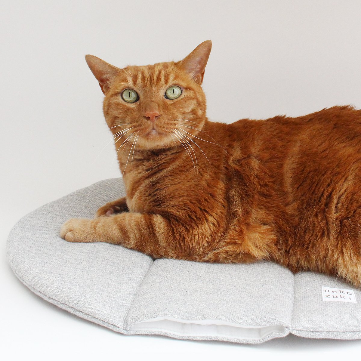 Amazon.co.jp: nekozuki ぽかぽかマット POCKET winter オーロラピンク